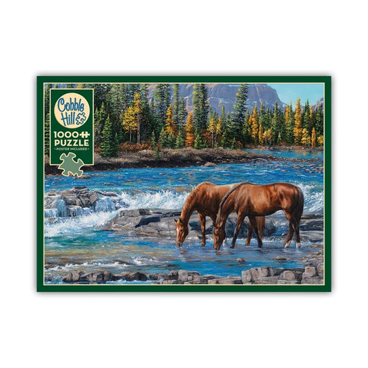 On the Rocks 1000 Piece Jigsaw Puzzle By Cobble Hill - Puzazzled