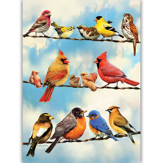 Birds on a Wire 500 Piece Jigsaw Puzzle By Cobble Hill - Puzazzled